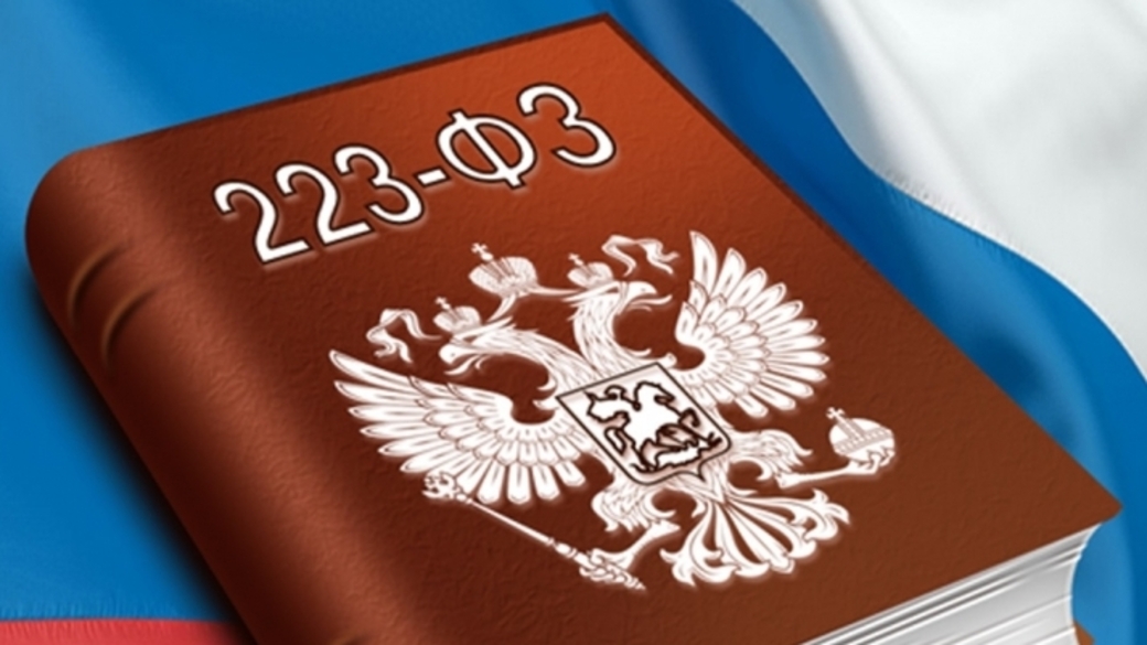 Вебинар: «Заключение договора по итогам закупки по Закону № 223-ФЗ»